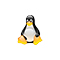 Ace Stream для Linux
