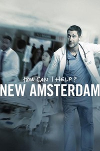 «Новый Амстердам» 1 сезон