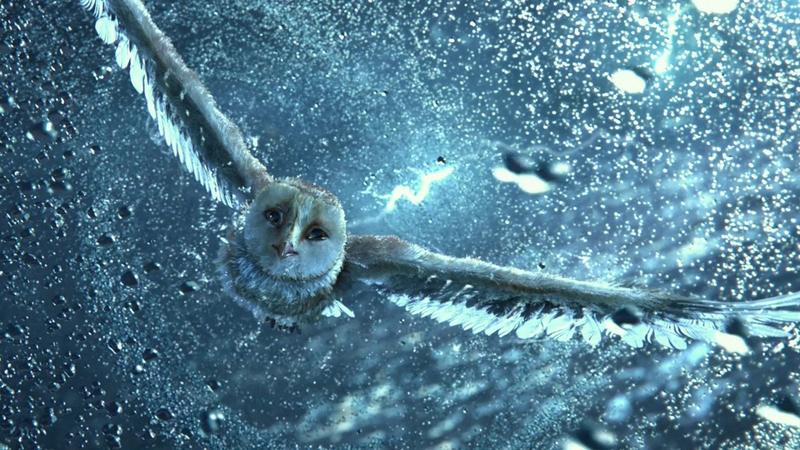  / Legend of the Guardians: The Owls of Ga’Hoole