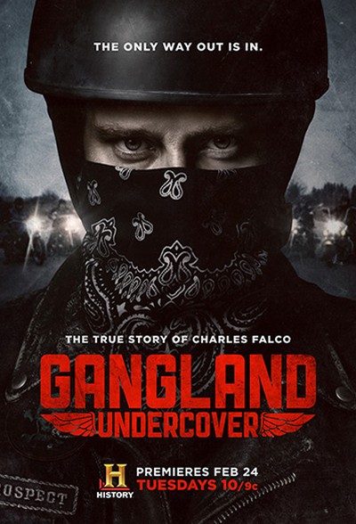Постер сериала Под прикрытием / Gangland Undercover