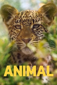 Постер сериала «Удивительные животные»
