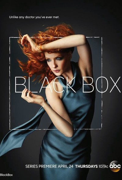 Постер сериала Чёрный ящик / Black Box