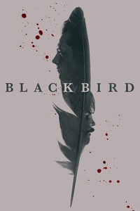 Постер сериала «Чёрная птица»