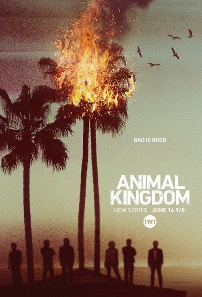 Постер сериала По волчьим законам / Animal Kingdom