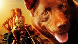 Смотреть фильм «Рыжий пес» онлайн